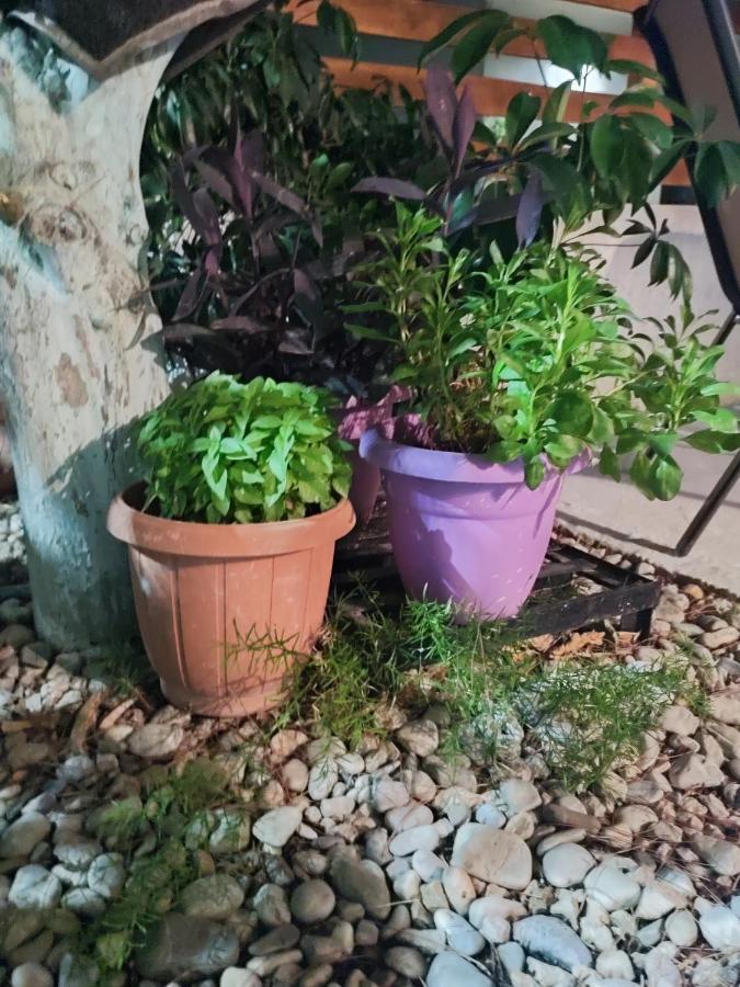 Katerina'S Apartment Cozy And Comfortable Place Nafplio Exterior foto